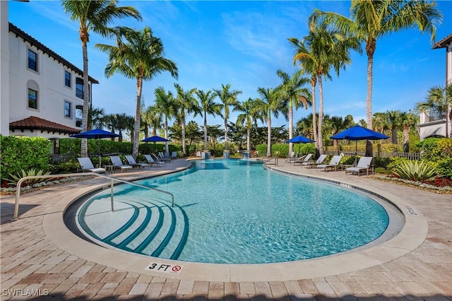 view of swimming pool with a patio area