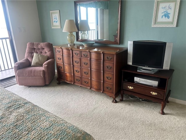 living area featuring carpet