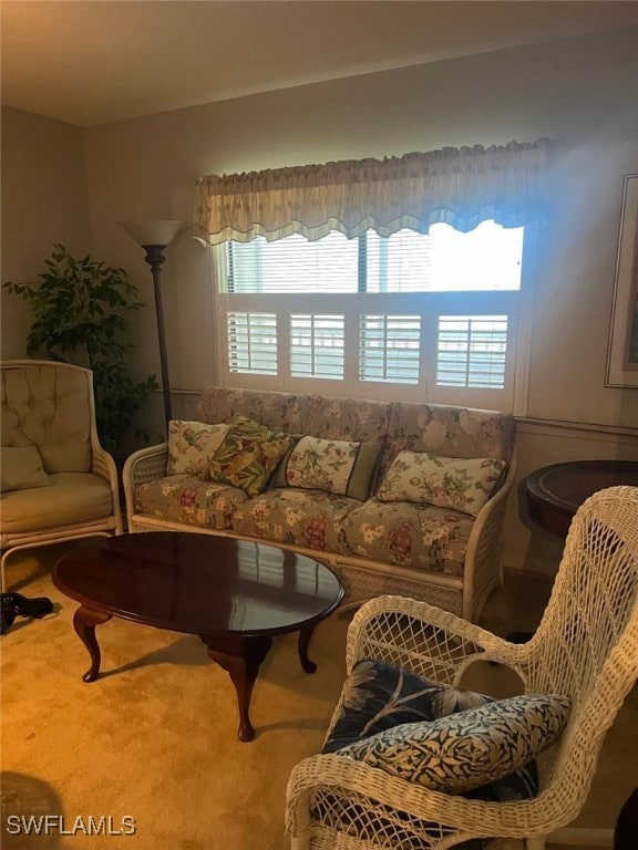 living room featuring carpet floors