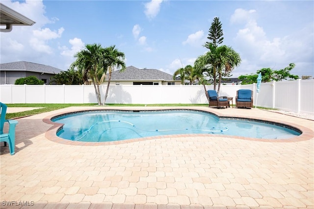 view of pool with a patio area