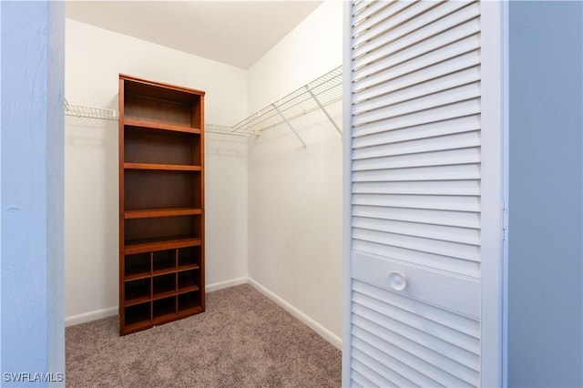 spacious closet featuring light colored carpet