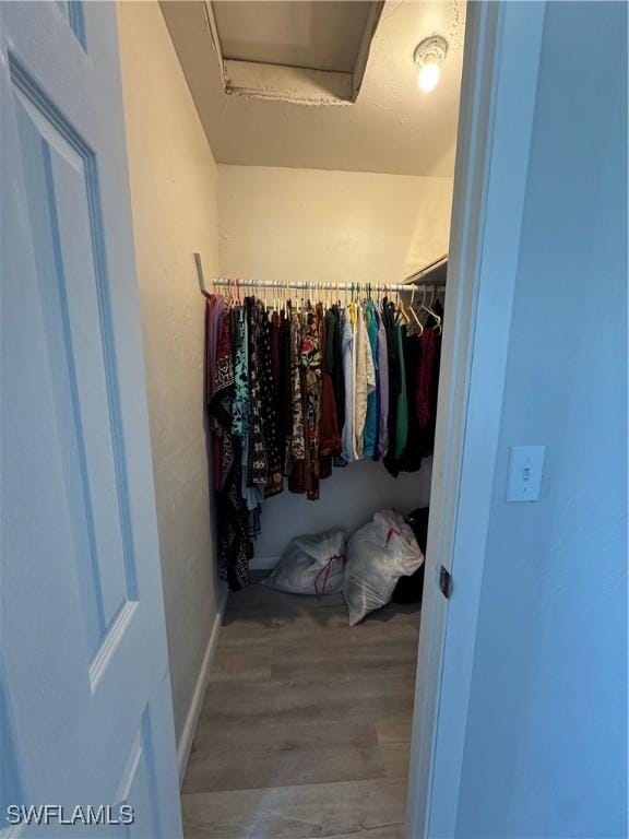 spacious closet featuring hardwood / wood-style floors