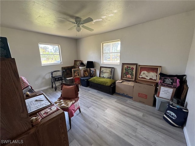 home office with light hardwood / wood-style flooring and ceiling fan