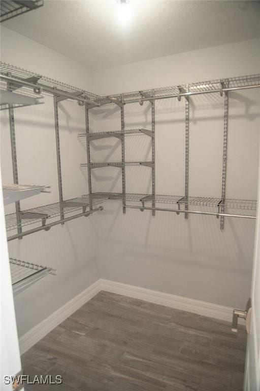 17291 Timber Oak Ln, Fort Myers, FL 33908 - walk in closet featuring dark hardwood / wood-style flooring