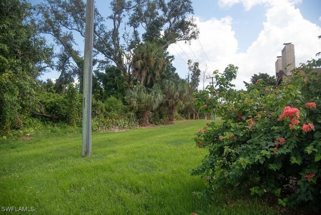 17291 Timber Oak Ln, Fort Myers, FL 33908 - view of yard