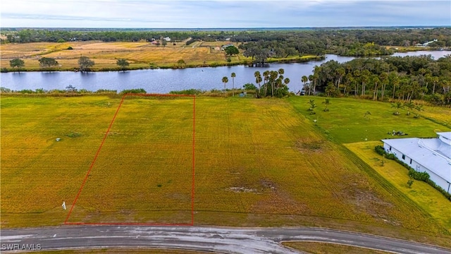 22821 Yellow Button Ln, Alva FL, 33920 land for sale