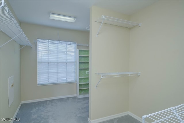 walk in closet with carpet floors