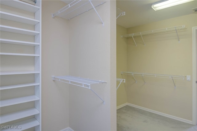 view of spacious closet