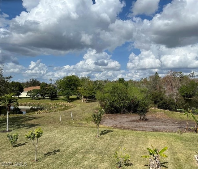 view of yard with a rural view