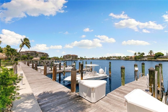 dock area featuring a water view