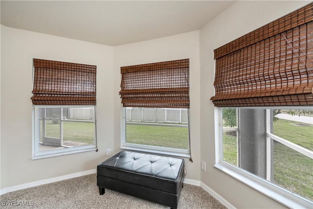 living area with carpet floors and baseboards