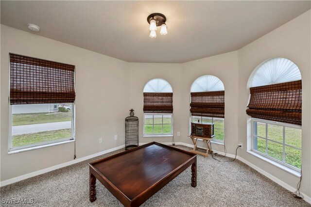 living room featuring carpet flooring