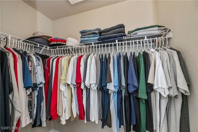 view of spacious closet