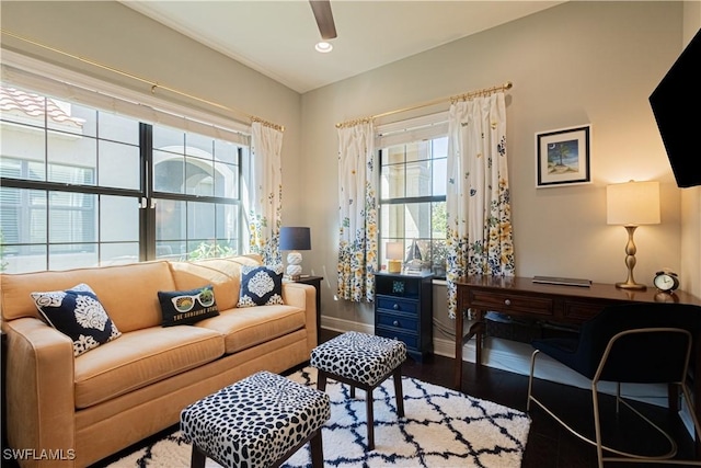 living room featuring ceiling fan and wood-type flooring