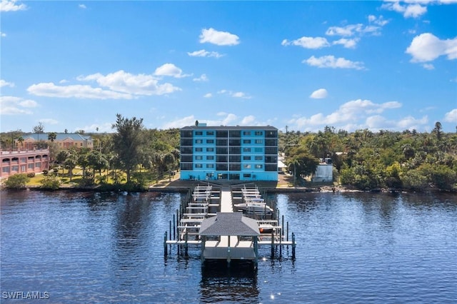 dock area featuring a water view