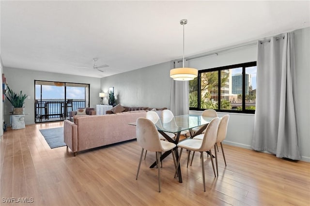 dining area with a wealth of natural light, light wood-type flooring, ceiling fan, and baseboards