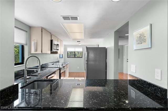 kitchen with dark stone counters, stainless steel appliances, and a sink