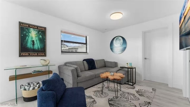 living area featuring wood finished floors