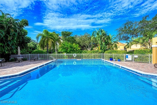 view of pool featuring a patio