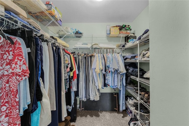 spacious closet with carpet flooring