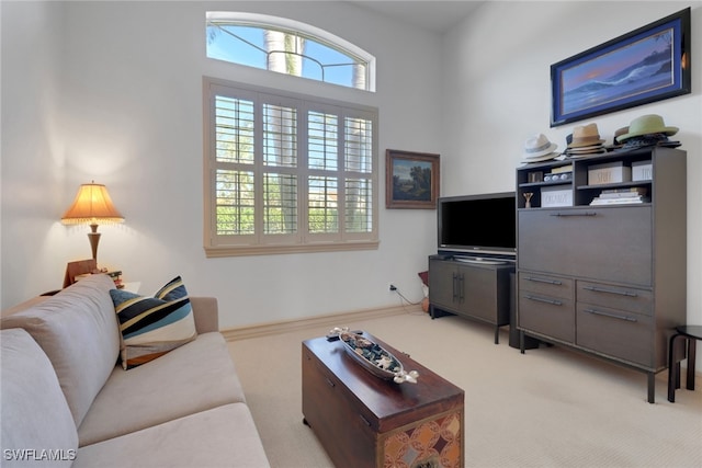 living room with light carpet