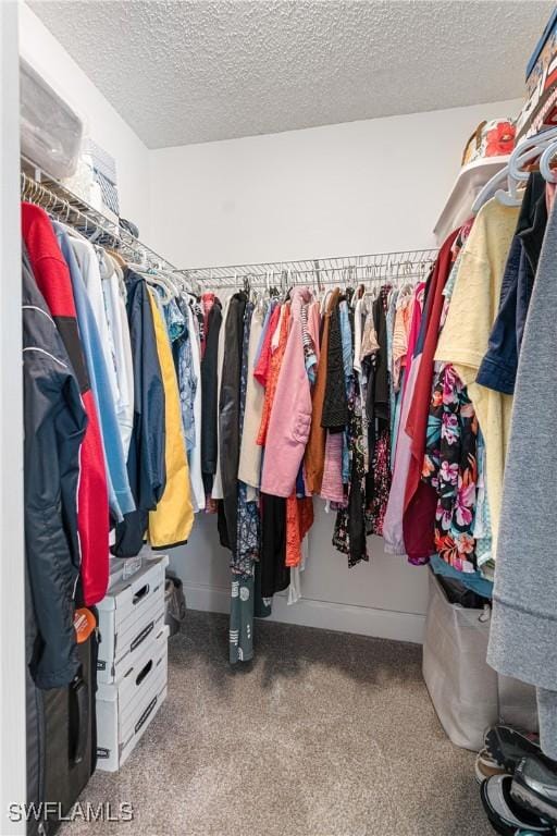 spacious closet with carpet floors