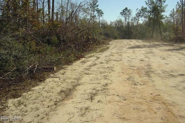 00 Old Spanish, Marianna, FL 32448 - photo 3