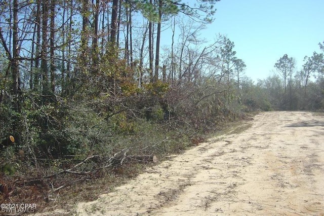 00 Old Spanish, Marianna, FL 32448 - photo 4