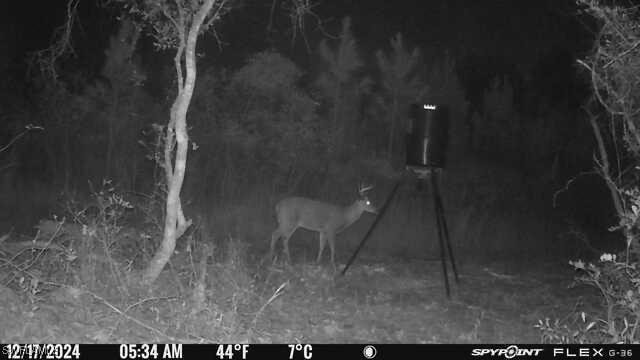 00 Old Spanish, Marianna, FL 32448 - photo 5