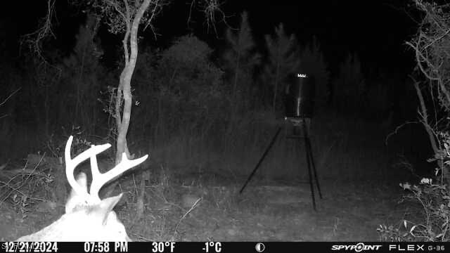 00 Old Spanish, Marianna, FL 32448 - photo 6