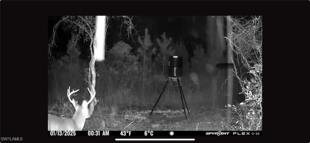 00 Old Spanish, Marianna, FL 32448 - photo 7
