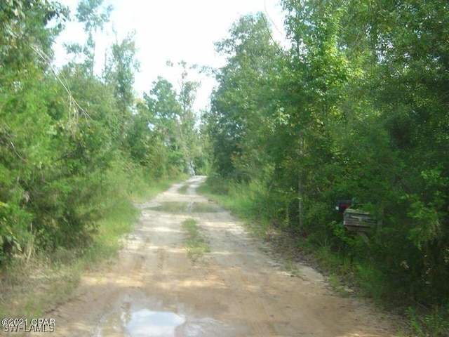 00 Old Spanish, Marianna, FL 32448 - photo 2