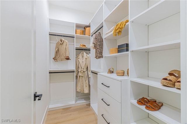 walk in closet with light wood-type flooring