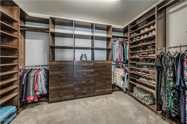 walk in closet with light colored carpet