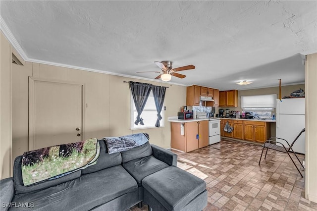 living room with ceiling fan, ornamental molding, and a textured ceiling