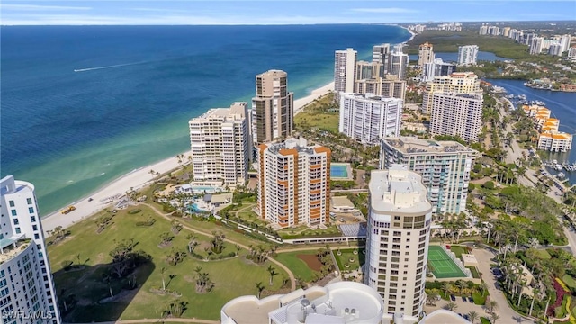 bird's eye view with a water view and a view of the beach