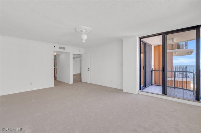 unfurnished room with carpet floors and a textured ceiling