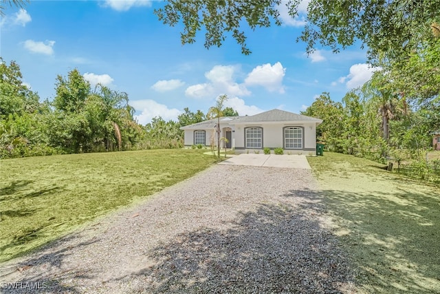 ranch-style house featuring a front yard