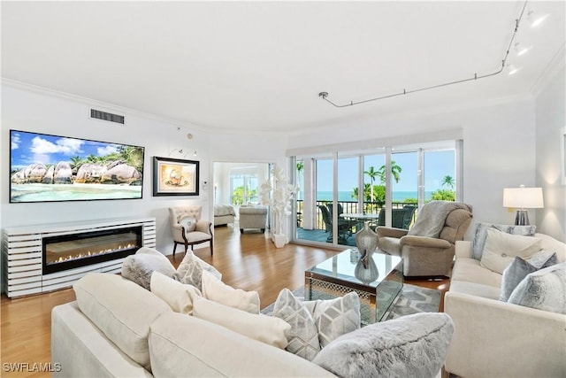 living room featuring ornamental molding, light hardwood / wood-style floors, and a wealth of natural light