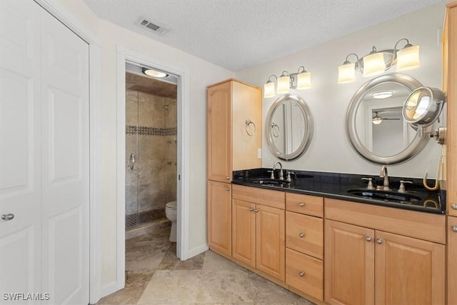 bathroom with vanity, toilet, a shower with door, and a textured ceiling