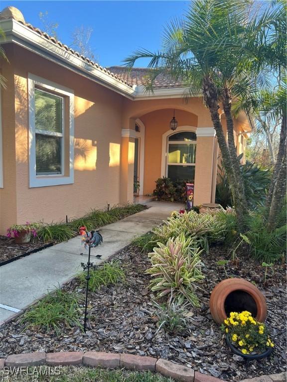 entrance to property with stucco siding