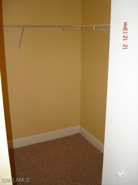 spacious closet featuring carpet flooring