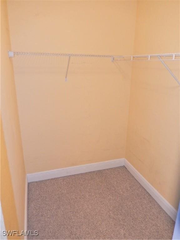 12571 Equestrian Cir Unit 902, Fort Myers, FL 33907 - spacious closet featuring light colored carpet
