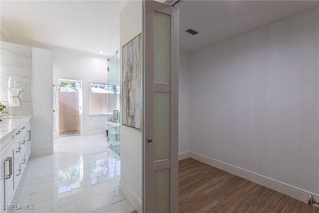 bathroom featuring vanity and wood-type flooring
