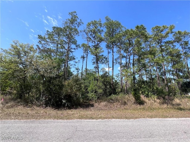 1317 Washington Ave, Lehigh Acres FL, 33972 land for sale