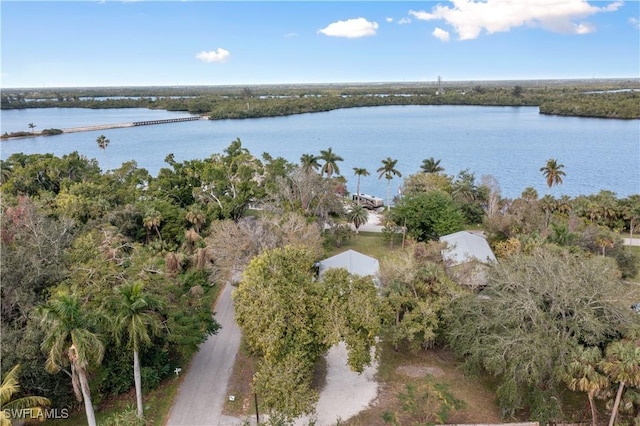 aerial view featuring a water view