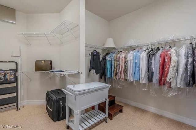 spacious closet featuring carpet