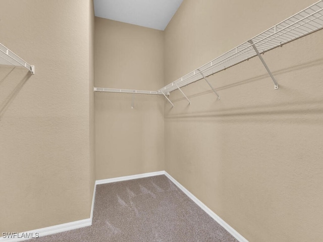 walk in closet featuring carpet