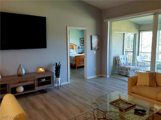 living room with wood-type flooring