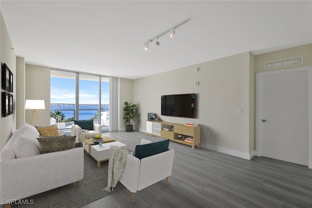 living room with a wall of windows, wood-type flooring, and track lighting